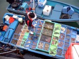 Hong Kong: seafood in Sai Kun