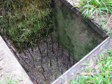 Viet_3440a Cu Chi Tunnels