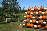 Fall Harvest Farm 2009