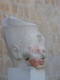 Upper terrace.jpg