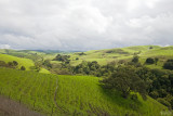 Rain Over Franklin Canyon