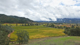 Storm Clears The Napa Valley