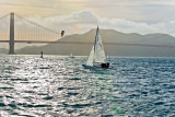 Wind Through The Golden Gate