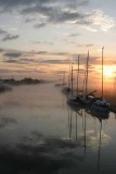 Mist over the river Thurne