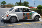 Beetle- Mexico