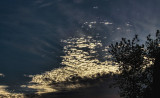 Evening clouds