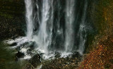 Bottom of the Falls 