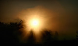 Sun Through the Mist 