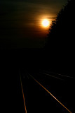 Light on the Tracks 
