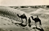 Desert Scene 2