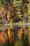 Fall Reflections