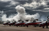 Snowbirds