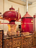 G10_1069-Edit.jpg La Mare Wine Estate - St Mary - © A Santillo 2011