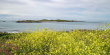 IMG_6219.jpg Lihou Island from Fort Saumarez Headland - © A Santillo 2014