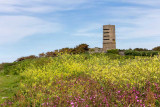 IMG_6221-Edit.jpg Fort Saumarez WWII German obersvation tower- Fort Saumarez Headland, St Pierre du Bois - © A Santillo 2014