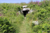 IMG_6308.jpg La Varde - L'Ancresse Common, Vale - © A Santillo 2014