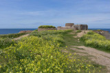IMG_6405.jpg Fort Hommett, Fort Hommett Headland, Castel - © A Santillo 2014