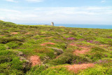 IMG_7133.jpg Marine Peilstand 3 tower - Grosnez Point, St Ouen - © A Santillo 2016