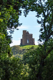 IMG_7200.jpg Saint Catherine's Chapel, Abbotsbury Subtropical Gardens - © A Santillo 2016