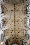 IMG_4688.jpg Winchester Cathedral - Presbytery (early 14th c Decorated Gothic (Gothic 2)) roof and vaulting -  A Santillo 2013