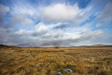 IMG_4975.jpg The Twelve Bens Gowlan West near Lough Cloonagat - Galway -  A Santillo 2013