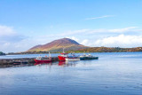 IMG_5146.jpg Letterfrack, Conamara Galway - © A Santillo 2013