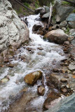 _MG_0613.jpg Torrent de Comboè, Charvensod Valle d'Aosta - © A Santillo 2006