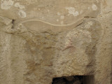 G10_0150.jpg Carving - Tarxien Temples, Tarxien - © A Santillo 2009