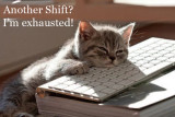 Monday Shift Cat 8.jpg