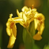 IMG_0731.JPG