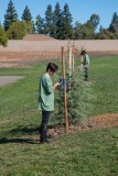 Tree Planting Event 10 6 18
