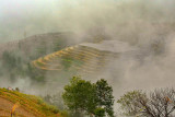 16_Longji Rice Terraces.jpg