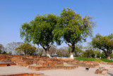 10_Sarnath was ransacked by Turkish Muslims.jpg