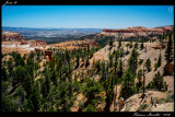 Backroads_020.jpg