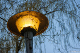 Lamp in High Park