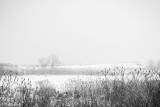 Snowfall in Tommy Thompson Park II