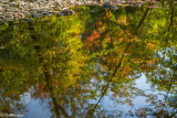 Reflections Of Early Autumn