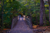 Bridge to Wilket Creek Trail