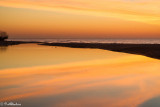 Three Ducks at Sunrise