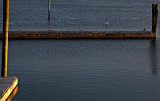 Golden hour at the marina