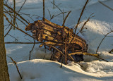 February in Connecticut