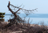 April in Connecticut - Hammonasset Beach State Park