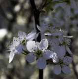 April in Connecticut - Hammonasset Beach State Park