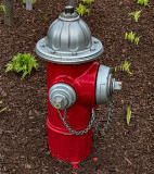 Fire hydrant & plants
