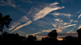 Evening sky