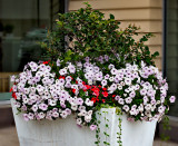 Outdoor display - Bishop's Corner