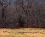 Connecticut in January