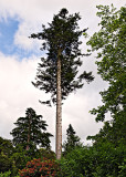 Fota Wildlife Park Gardens