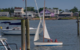 sailing