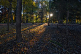 autumn in Connecticut